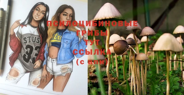 молекула духа Гусь-Хрустальный