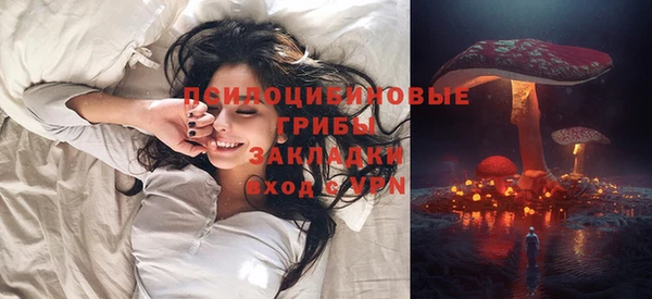 молекула духа Гусь-Хрустальный