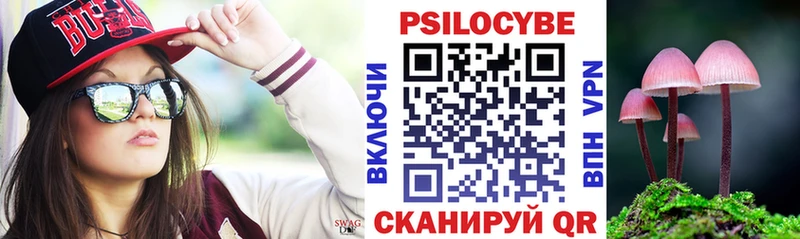 Галлюциногенные грибы Psilocybe  Чкаловск 